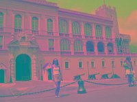 IMGP2848 edited (Medium)